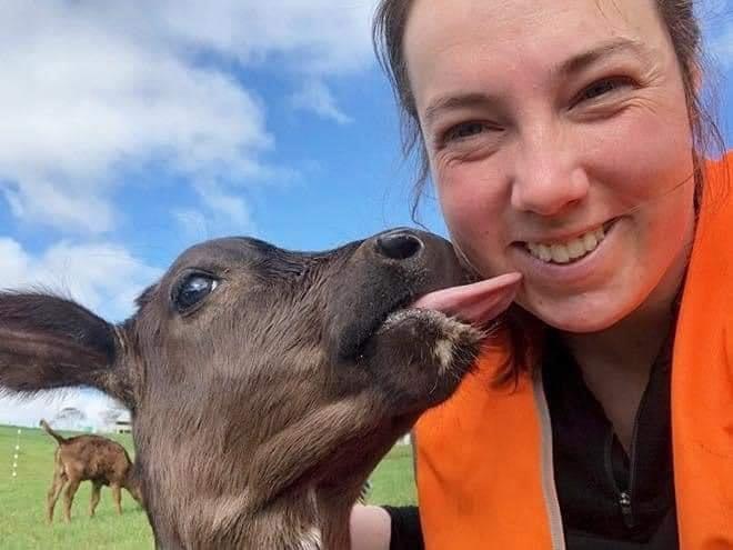 woman smiles as cow licks her face