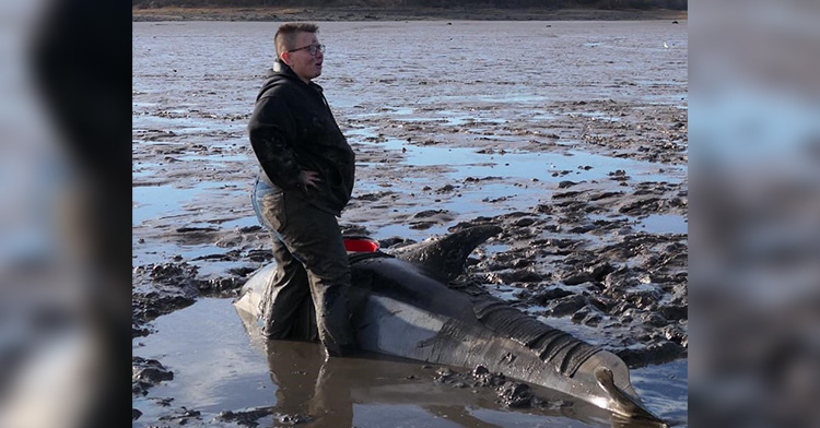 Linda Groocock Stands in the Muddy Water with Her Hands on Her Hips. A Beached Dolphin Lies Directly in Front of Her.