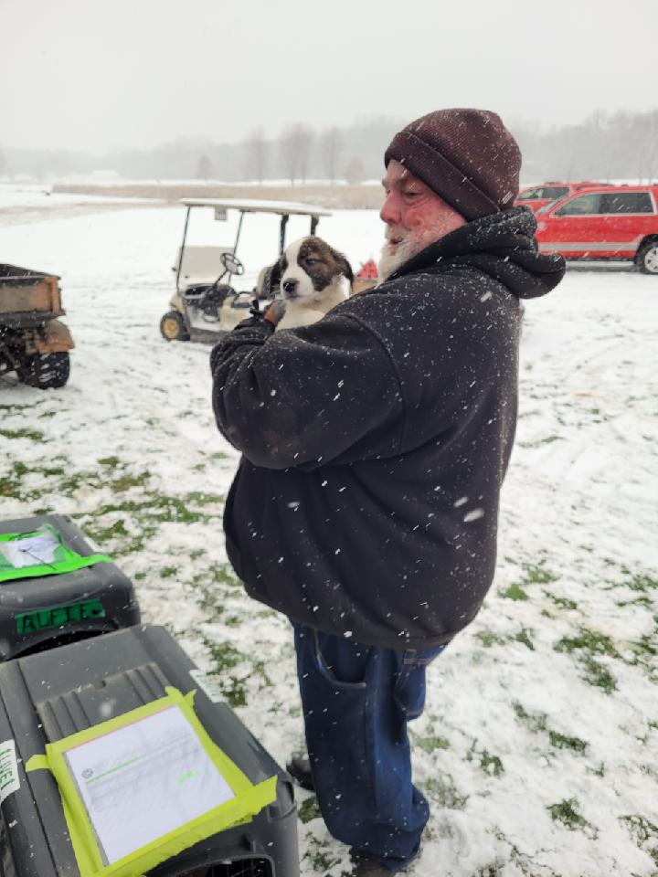 golf course worker holds dog after plane crash