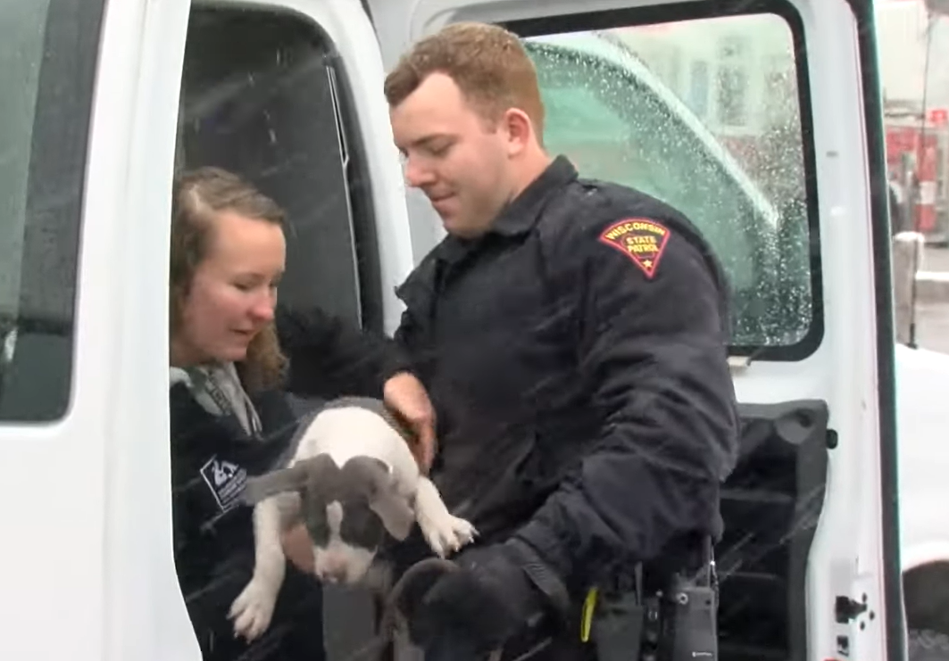 cops help load puppy into car after plane crash