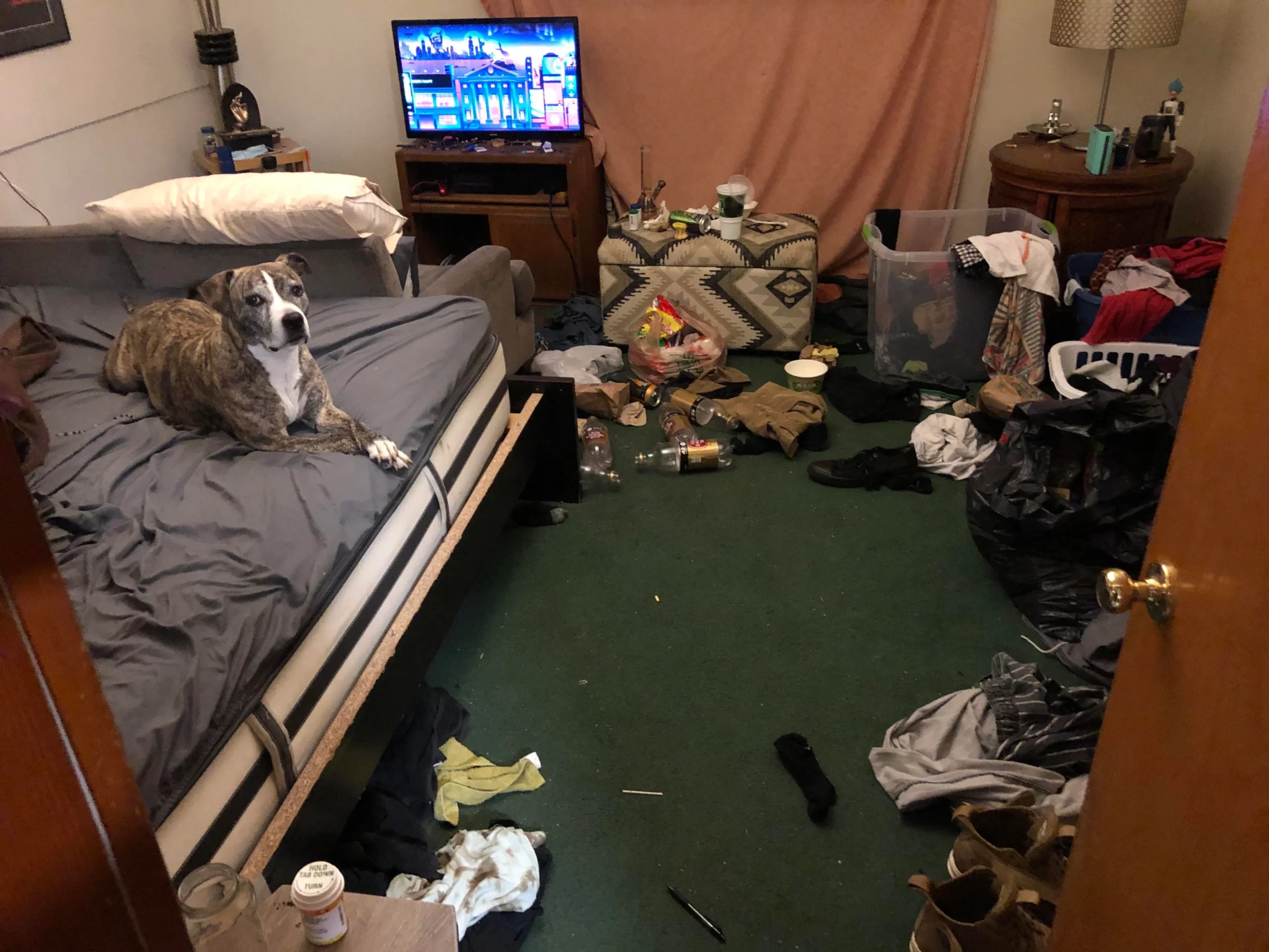 very dirty bedroom with dog sitting on bed
