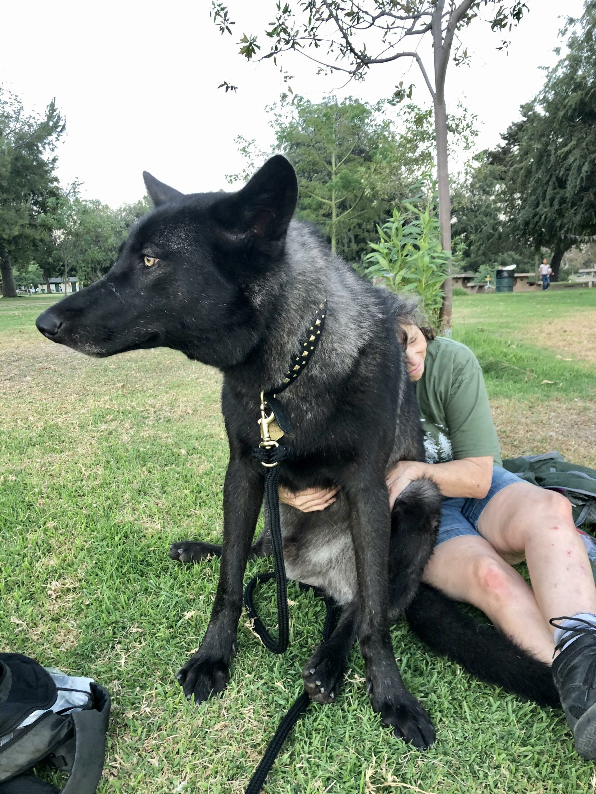 woman cuddling giant black wolf dog
