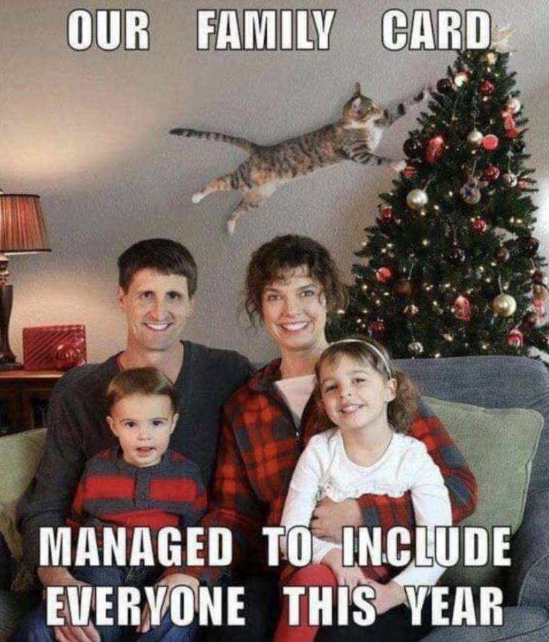 Family posing for picture in front of the Christmas tree. A cat is flying through the air behind them, heading for the tree. Caption says "Our family card managed to include everyone this year."