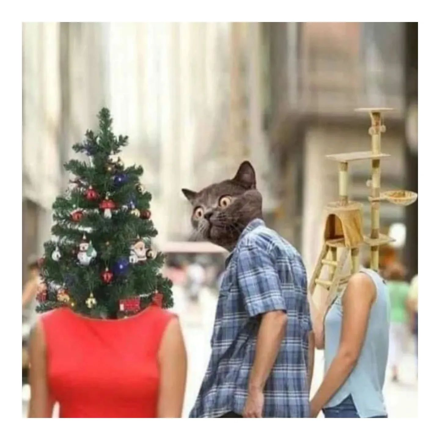 Distracted Boyfriend meme, except instead of humans it's a cat ignoring his cat tree and eyeing the Christmas tree instead.