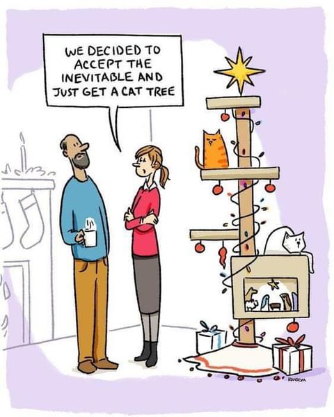 comic with a couple standing in front of a cat tree with Christmas lights and a star on top. Caption says: "We decided to accept the inevitable and just get a cat tree."