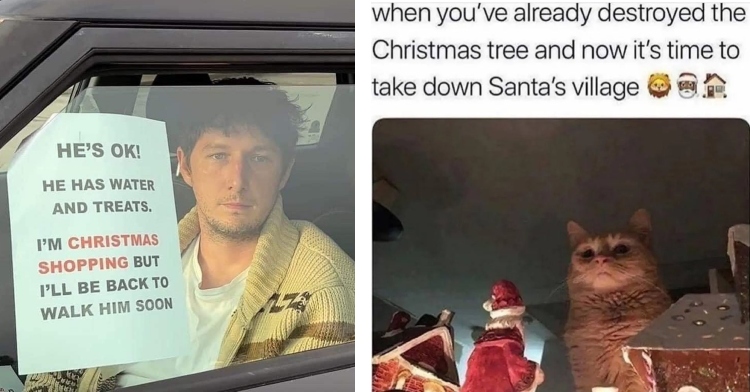 Meme with man sitting in car like a dog waiting for owner and cat about to destroy christmas decorations