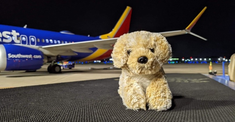 Dog Dog the lost stuffie in front of Southwest Air plane