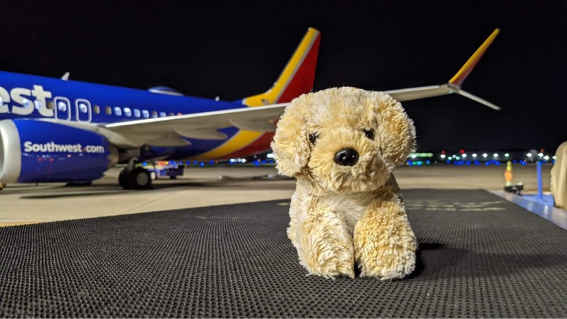 Dog Dog the stuffed animal sitting on the ground outside with a Southwest Airlines plane parked in the distance behind him.