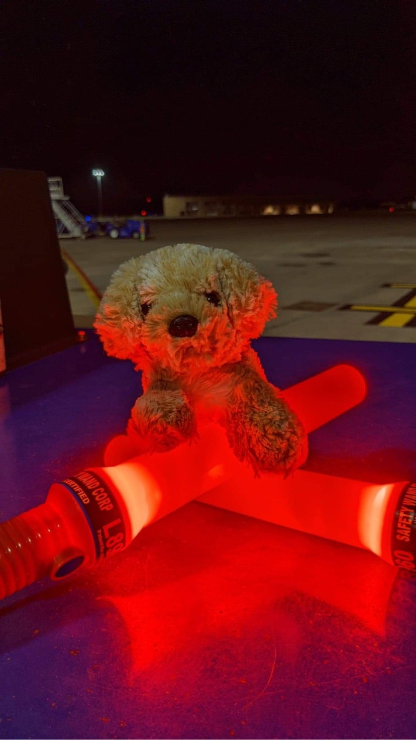 Dog Dog posing with the airport's safety lights that are red.