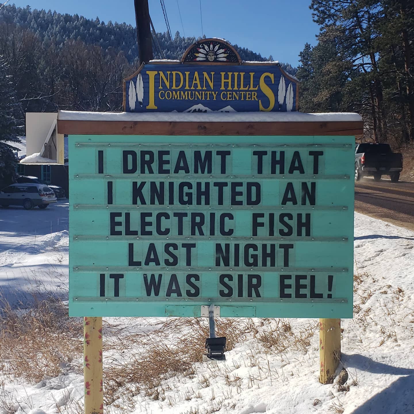 community sign that says: "I dreamed that I knighted an electric fish last night it was Sir Eel"