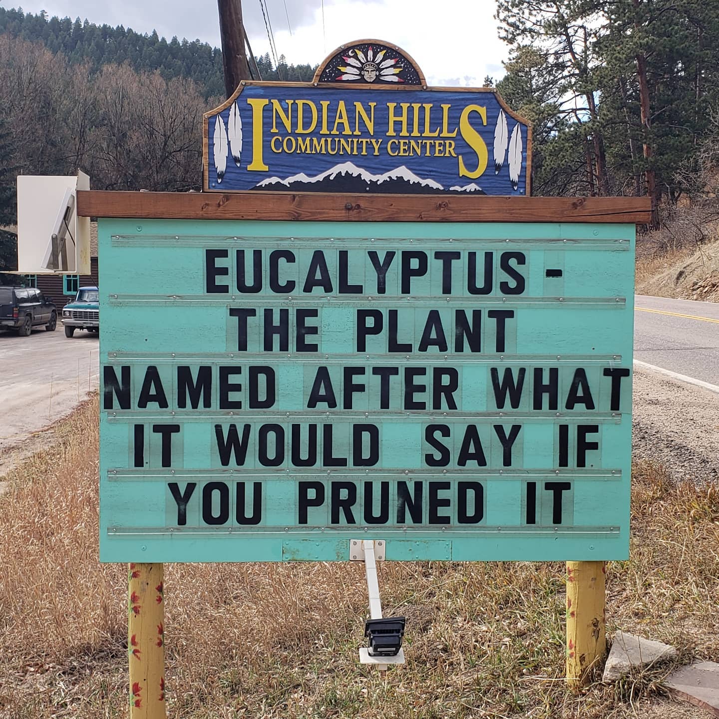 community sign that says: "Eucalyptus the plant named after what it would say if you pruned it"