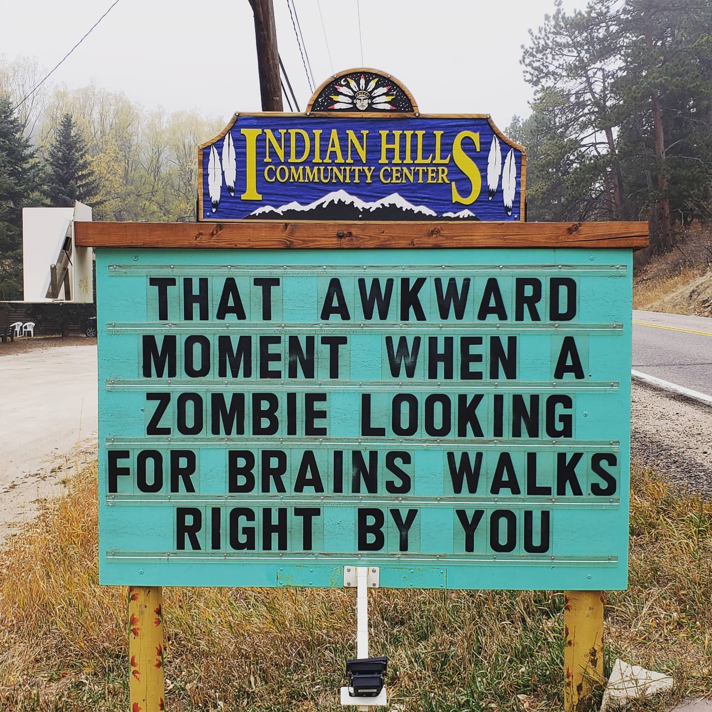 community sign that says: "that awkward moment when a zombie looking for brains walks right by you."