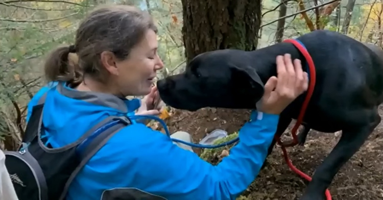Rescue volunteer finds Luna the lost dog