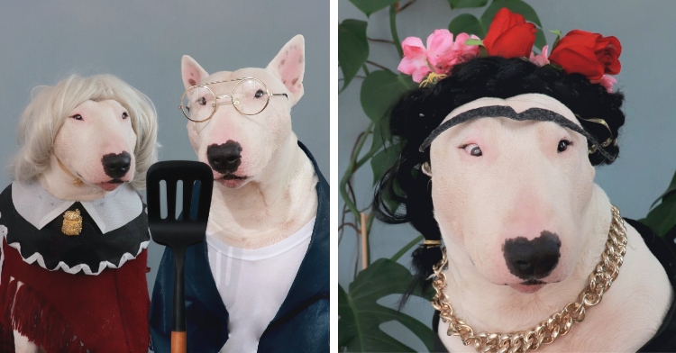 Tom Bully dressed as famous artists and works of art "American Gothic" and Frida Kahlo