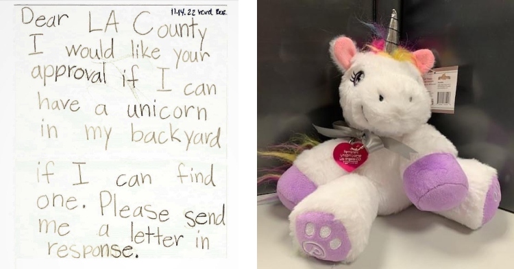 LA Animal control issues unicorn license to little girl