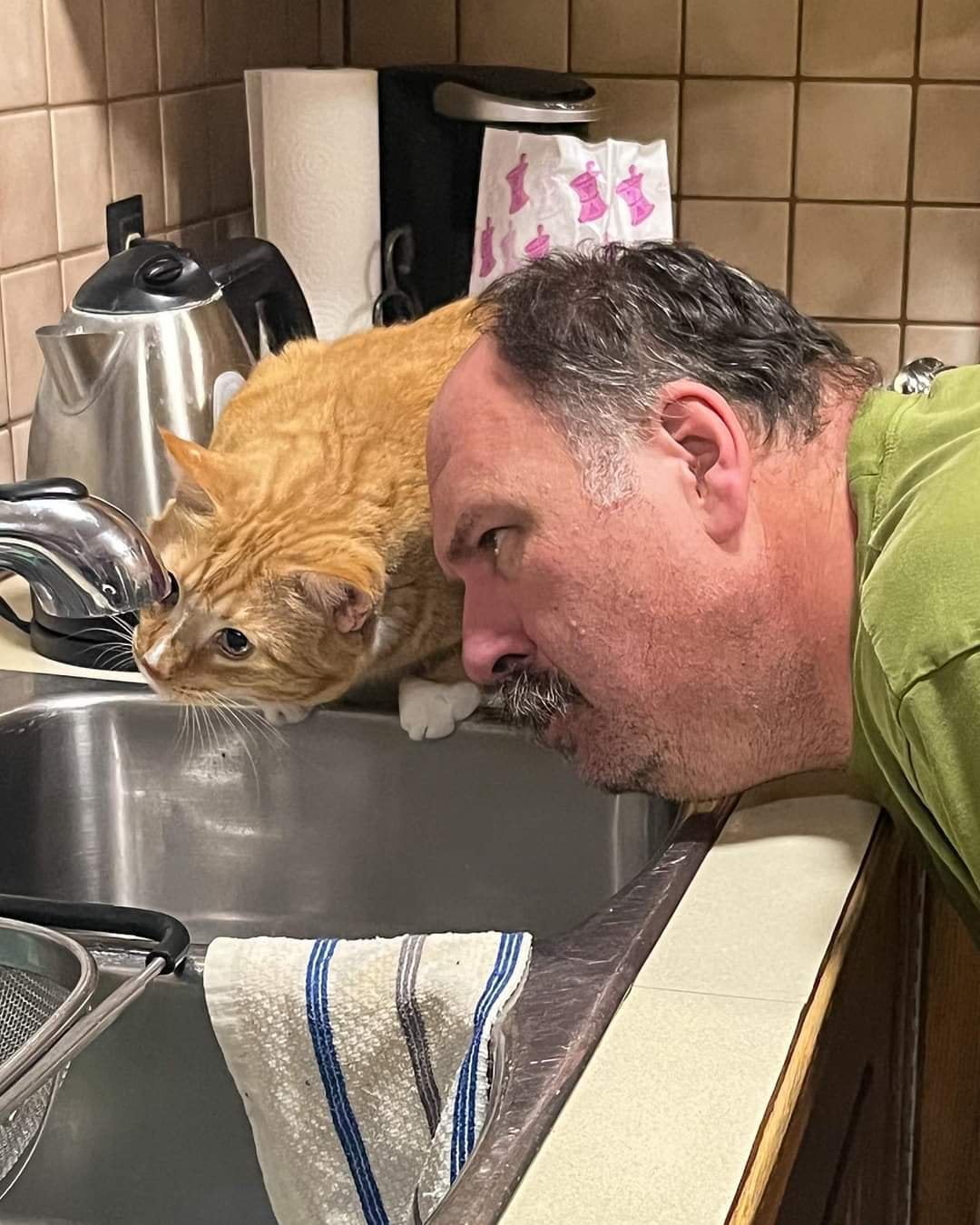 dad and cat looking for drips in kitchen faucet
