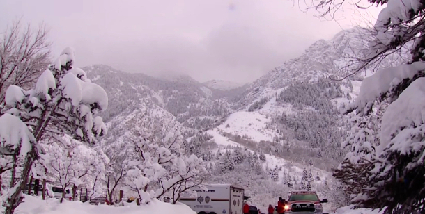 Rescue vehicles are surrounded by snow.