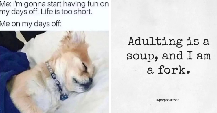 meme says "me: I'm going to start having fun on my days off. Life's too short. Me: photo of Dog sleeping in bed, second meme says "Adulting is a soup, and I am a fork"