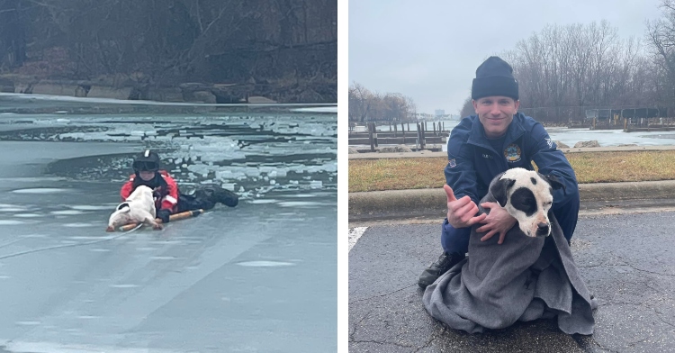 Dog Trapped On Icy River Slides To Safety When The Coast Guard Arrives ...