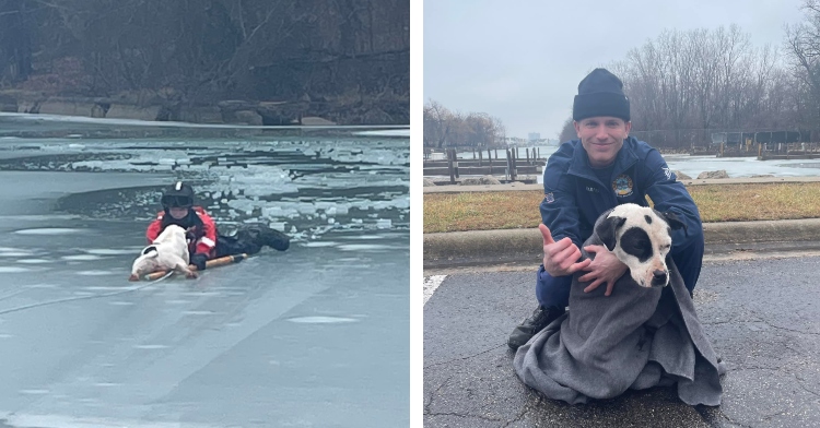 Coast Guard Rescues dog from frozen river