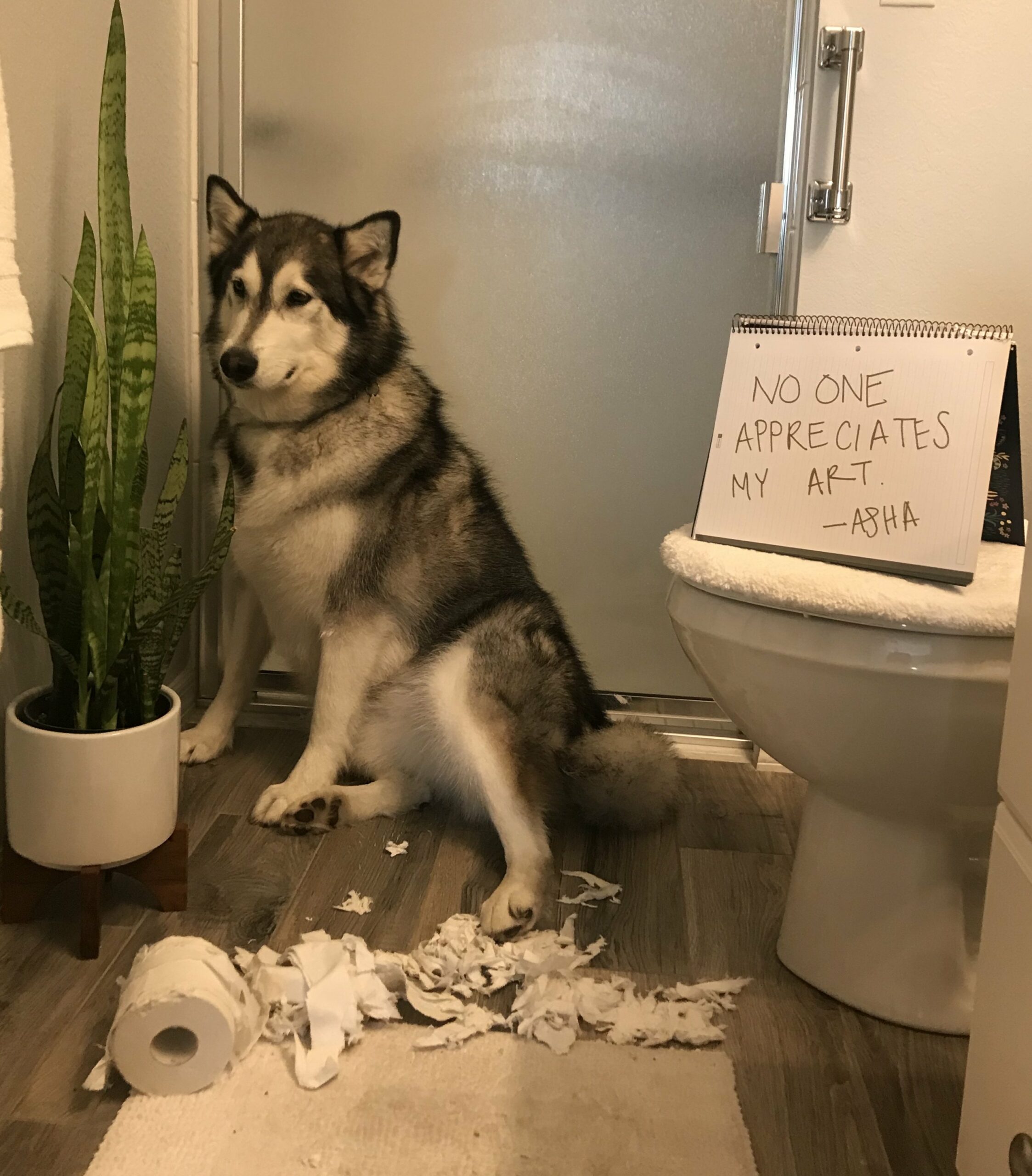 dog sitting with destroyed toilet paper roll next to a sign that says "No one appreciates my art. -Asha"