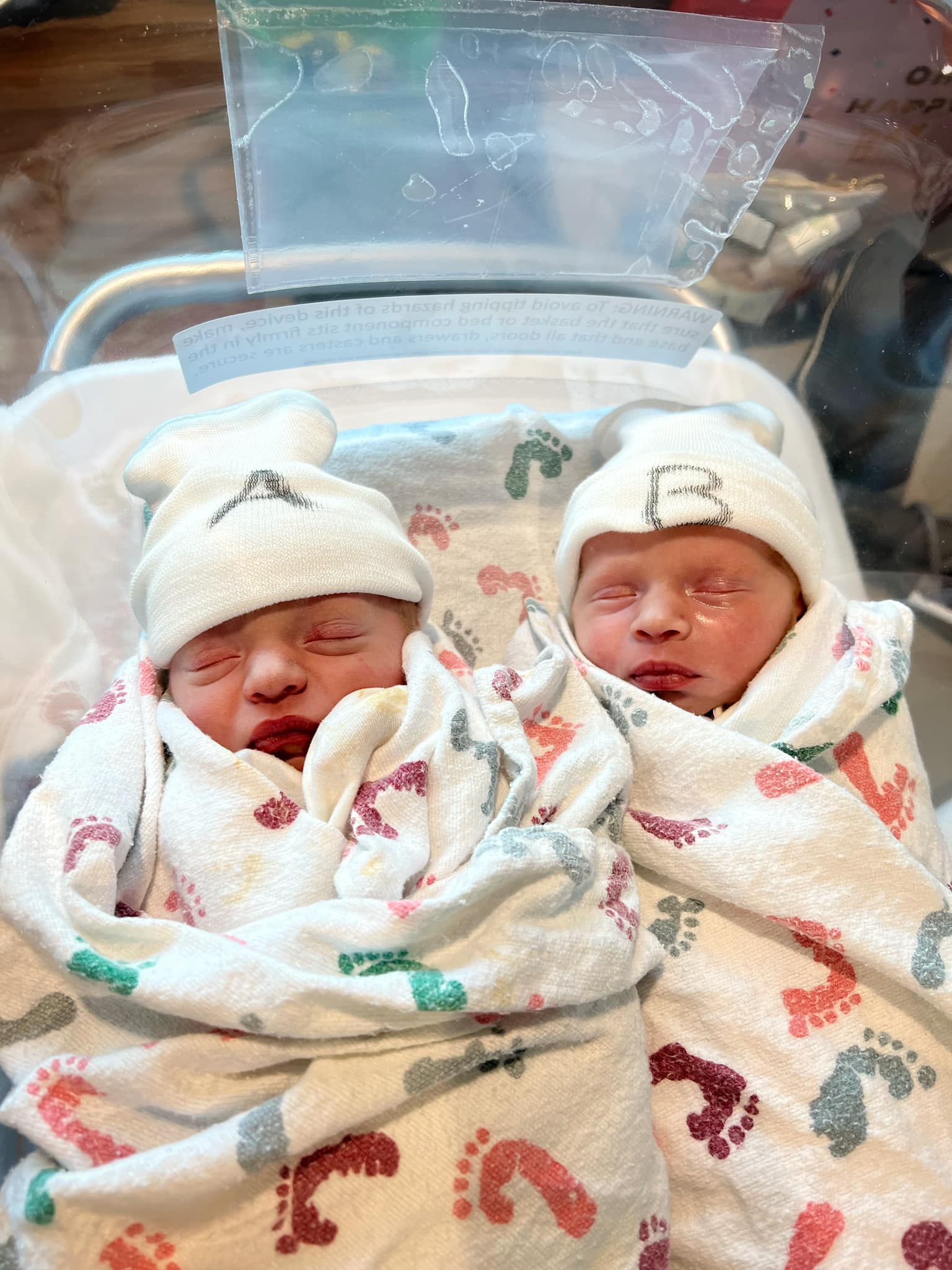 newborn twins Annie Jo Scott and Effie Rose Scott