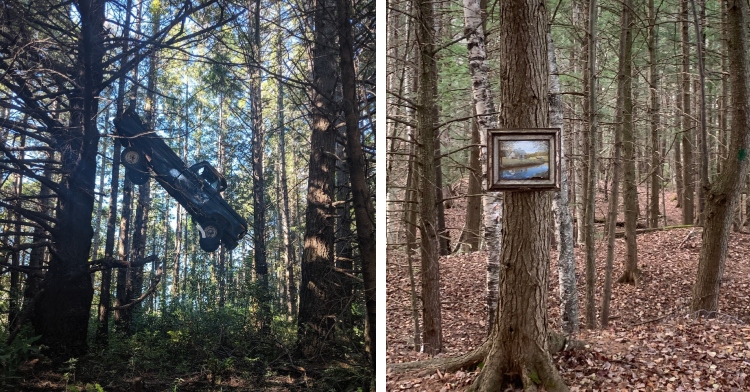 truck suspended from trees in woods, a framed painting on a tree in the forest