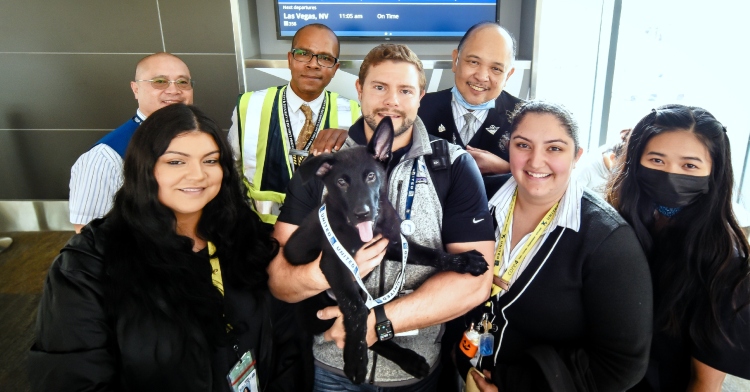 United Airline Workers holding Polaris the abandoned puppy