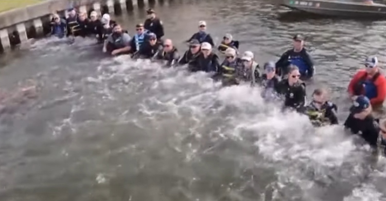 Florida biologists form human chain to help dolphin trapped in canal