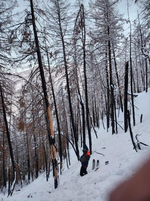 View of a skier who is trapped in snow, by a tree, after an avalanche. 