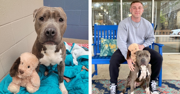 Bruno poses with his toy and new owner