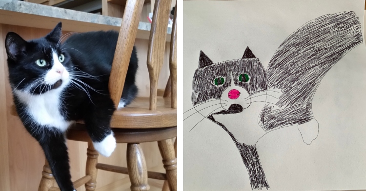 Poorly Drawn cat picture sketched For Charity