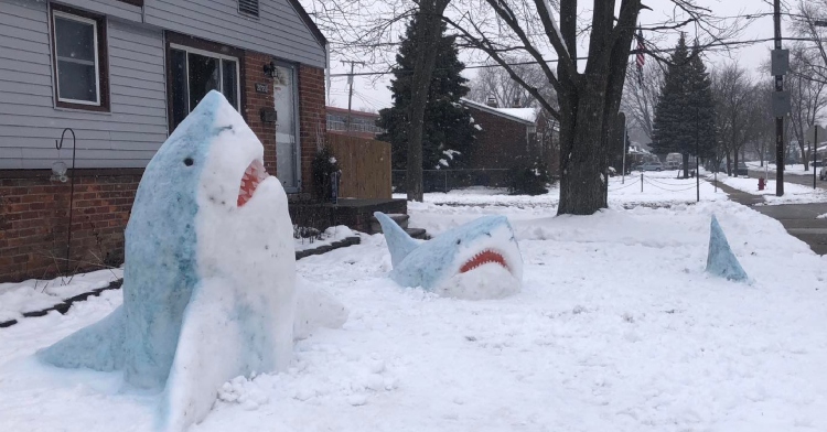 sharks sculpted from snow in Detroit, MI