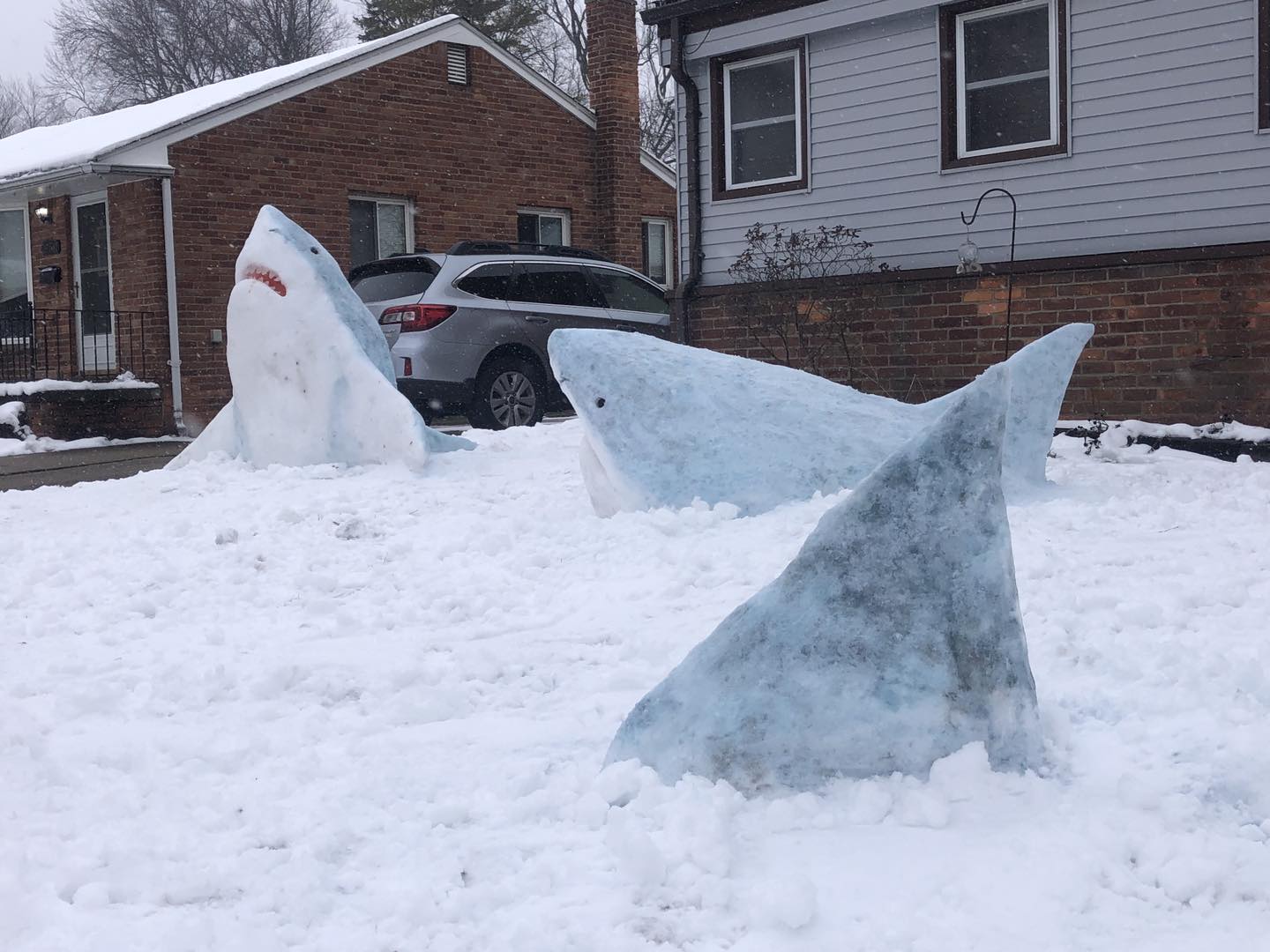 shark snow sculptures