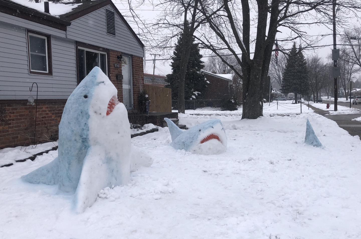 shark snow sculptures by Jennifer Ramirez