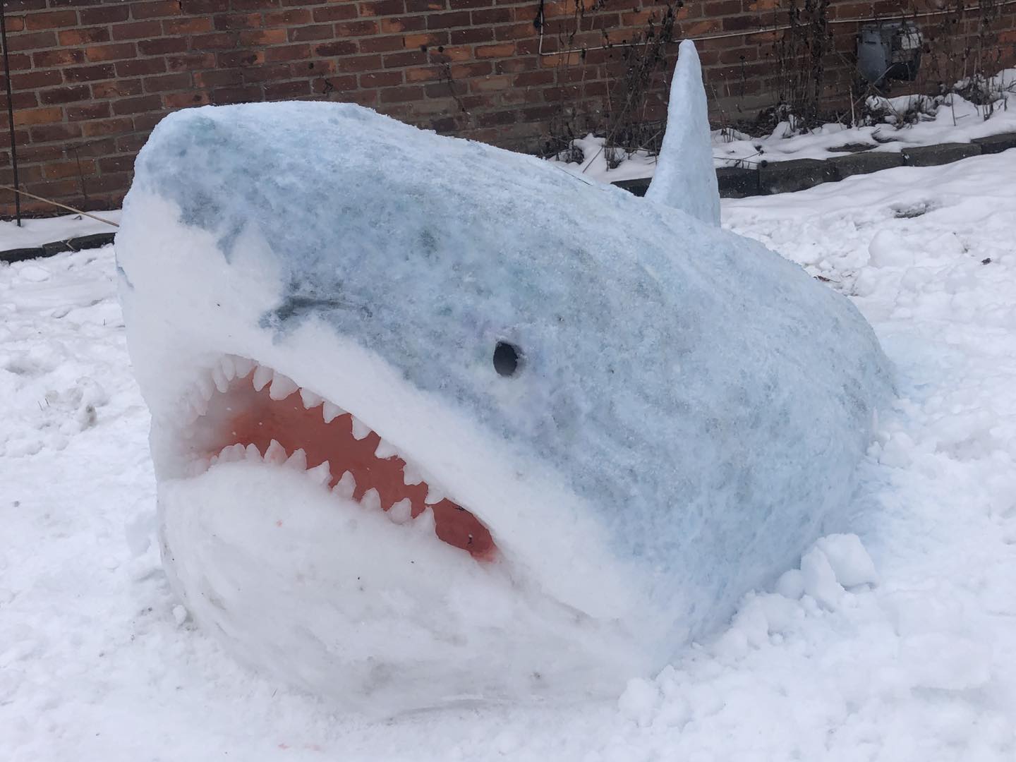 snow sculpture of a shark