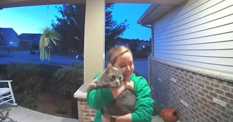 The Cat Came Back! Doorbell Camera Captures Adorable Moment Missing ...