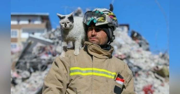 firefighter Ali Cakas with Enkaz in Earthquake aftermath