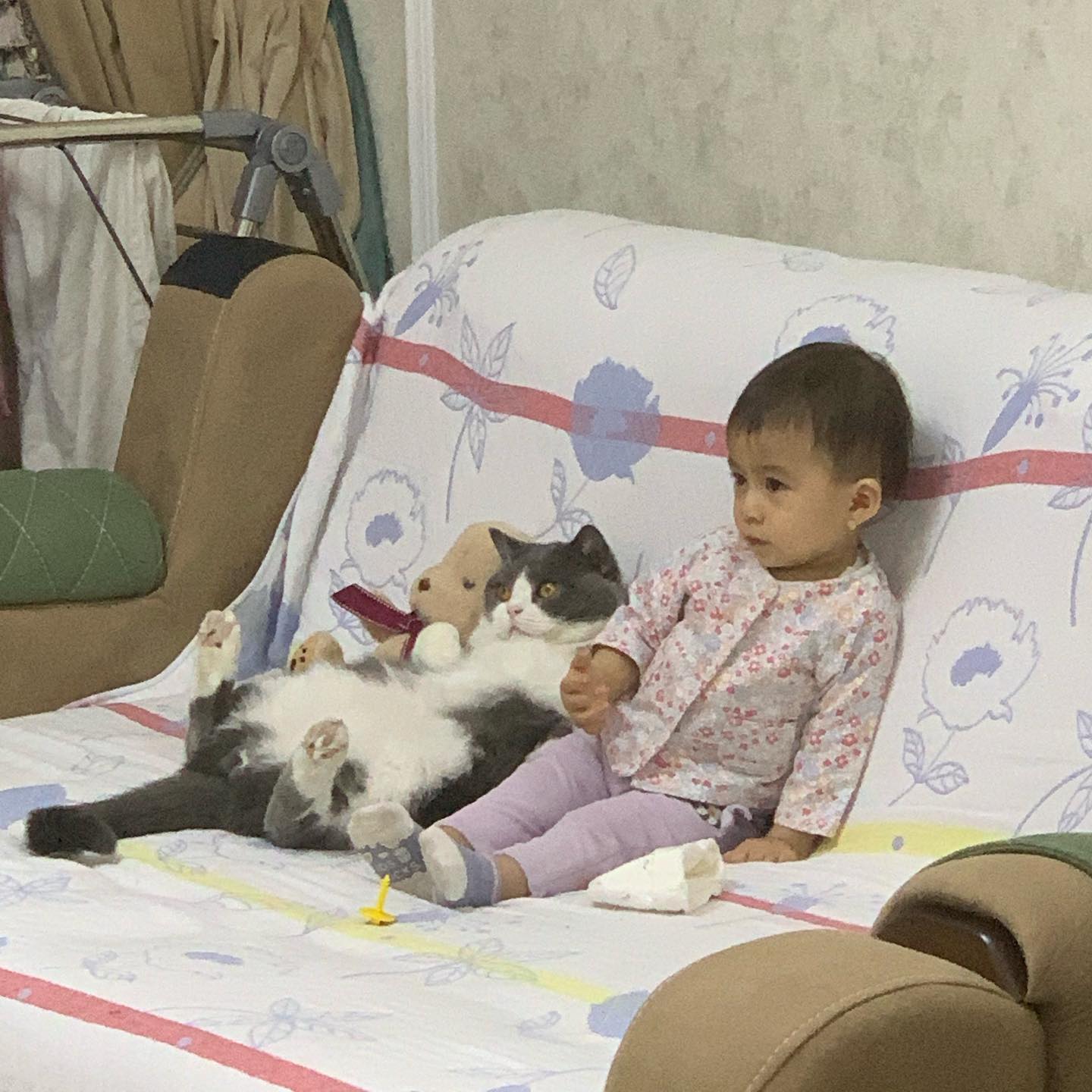 child and cat sitting on couch watching tv together