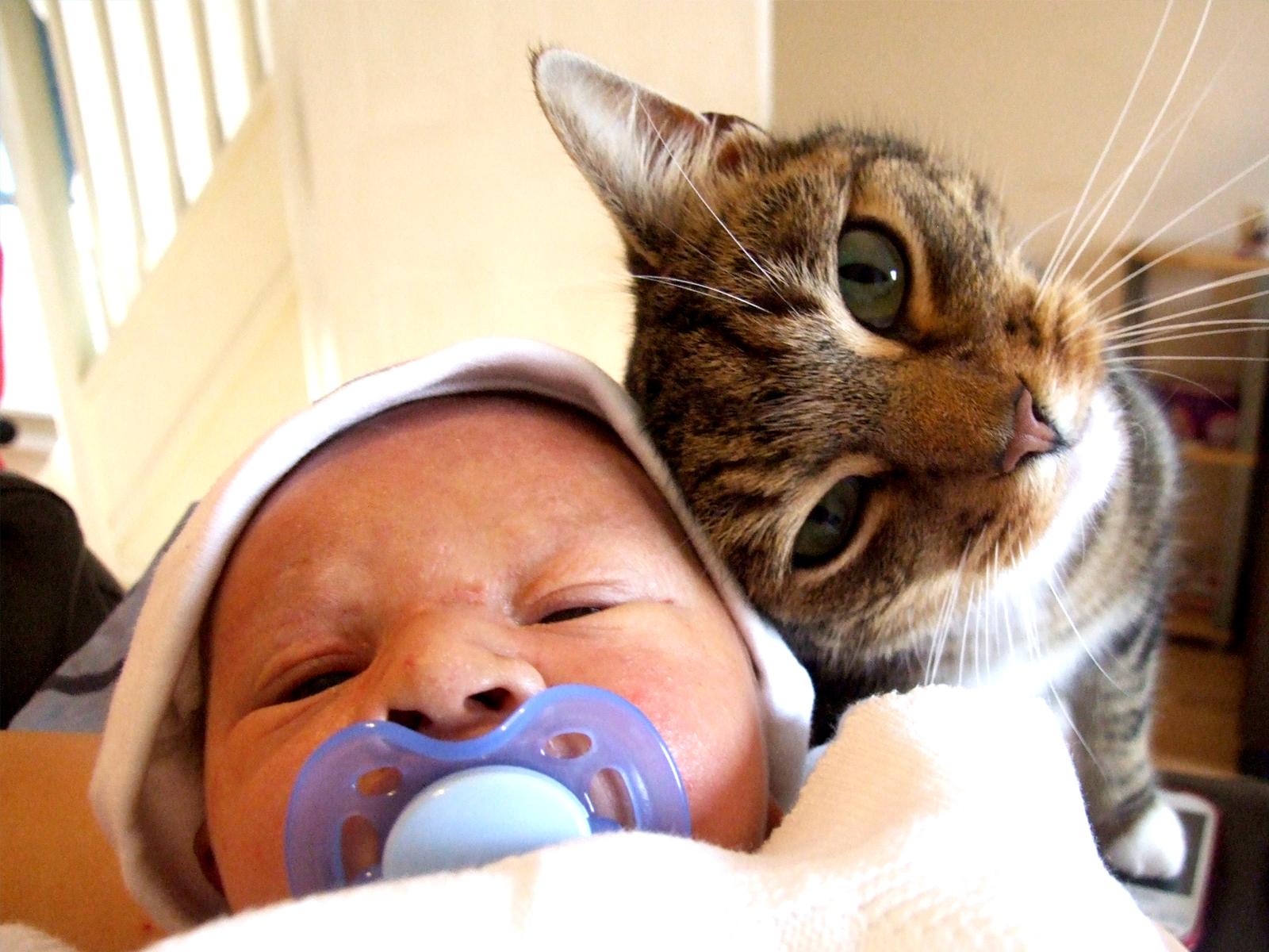 baby and cat with faces close together