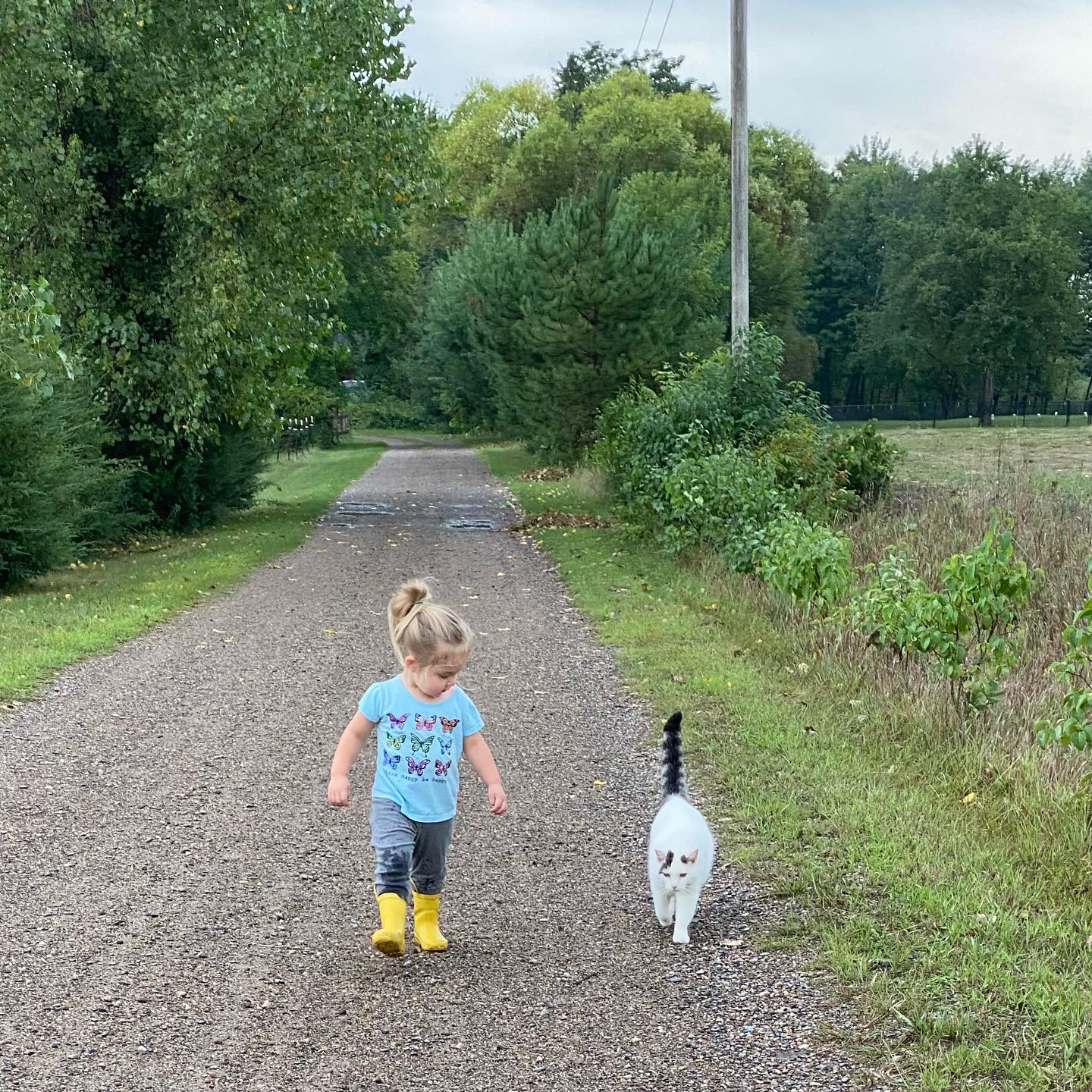 little girl and cat walking down path together