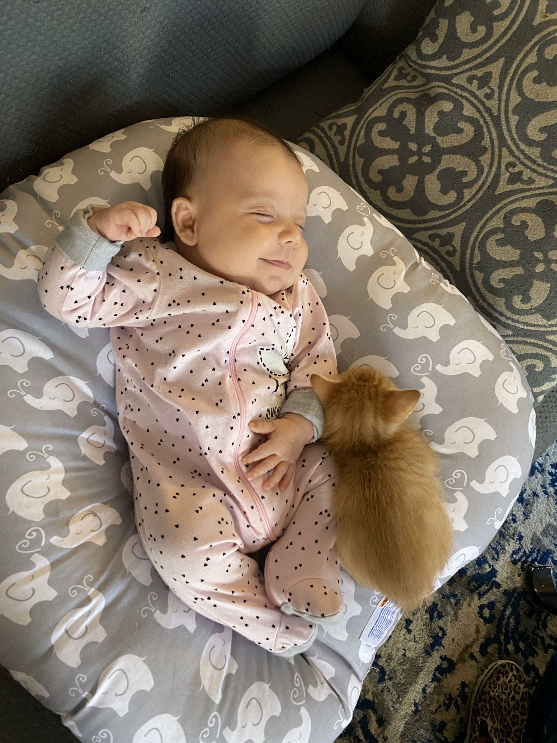 baby smiling in sleep with small orange kitten curled against her