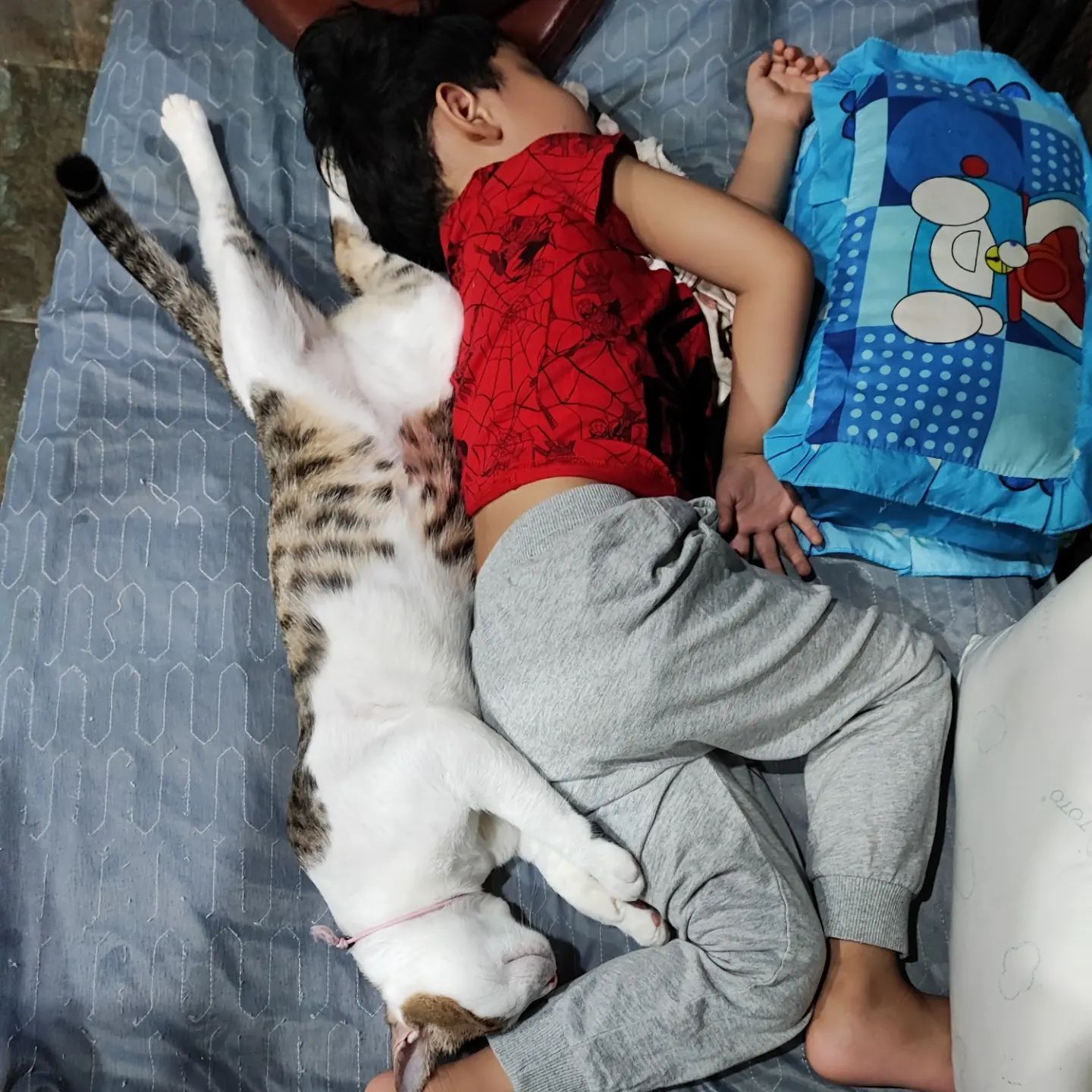child stretched out asleep with cat stretched out next to him