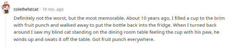 Definitely not the worst, but the most memorable. About 10 years ago, I filled a cup to the brim with fruit punch and walked away to put the bottle back into the fridge. When I turned back around I saw my blind cat standing on the dining room table feeling the cup with his paw, he winds up and swats it off the table. Got fruit punch everywhere.