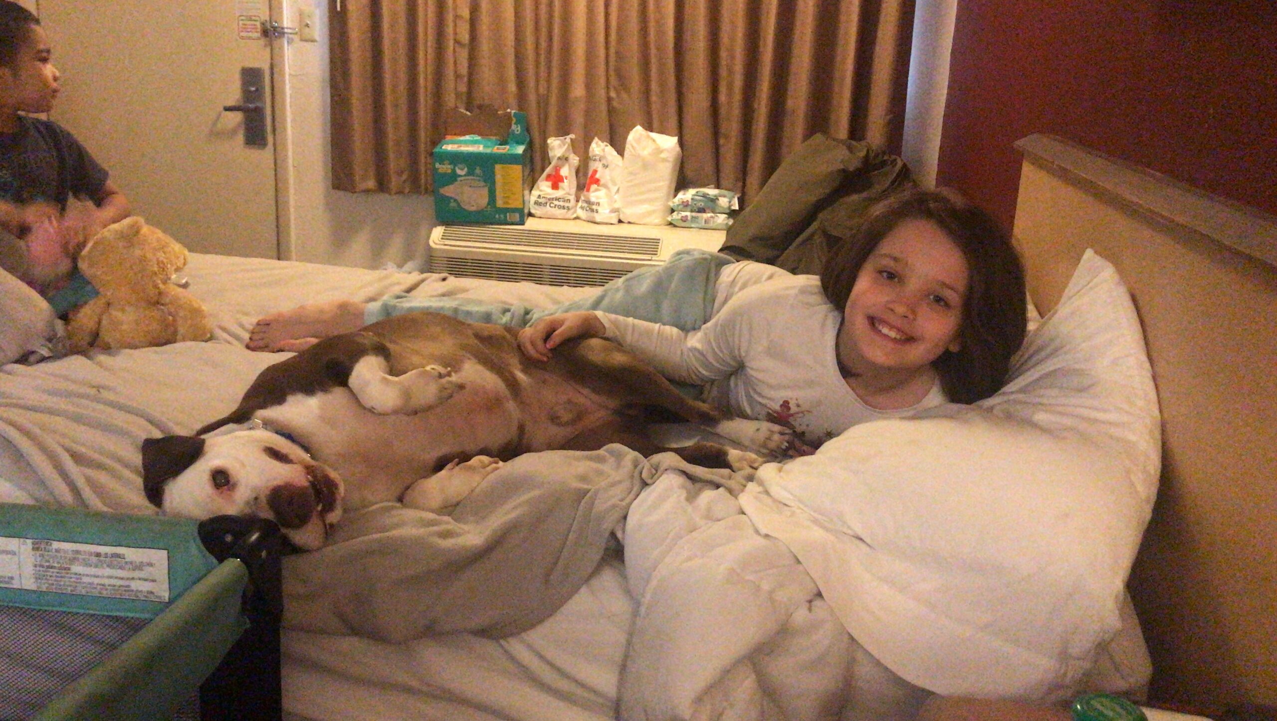 child smiling on the bed with a dog showing his belly