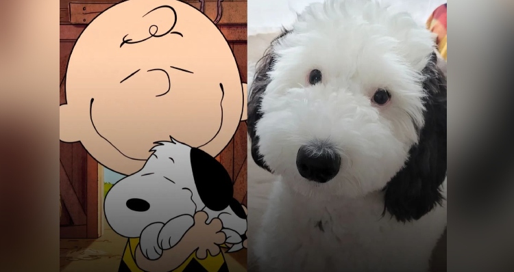 Charlie Brown and Snoopy plus Bayley the dog