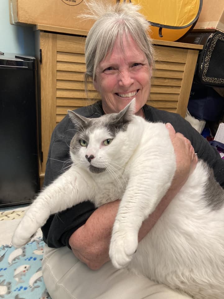woman holds 40-pound cat she just adopted.