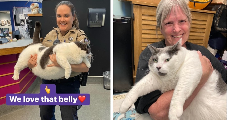 Two women struggle to hold up Patches the overweight cat.