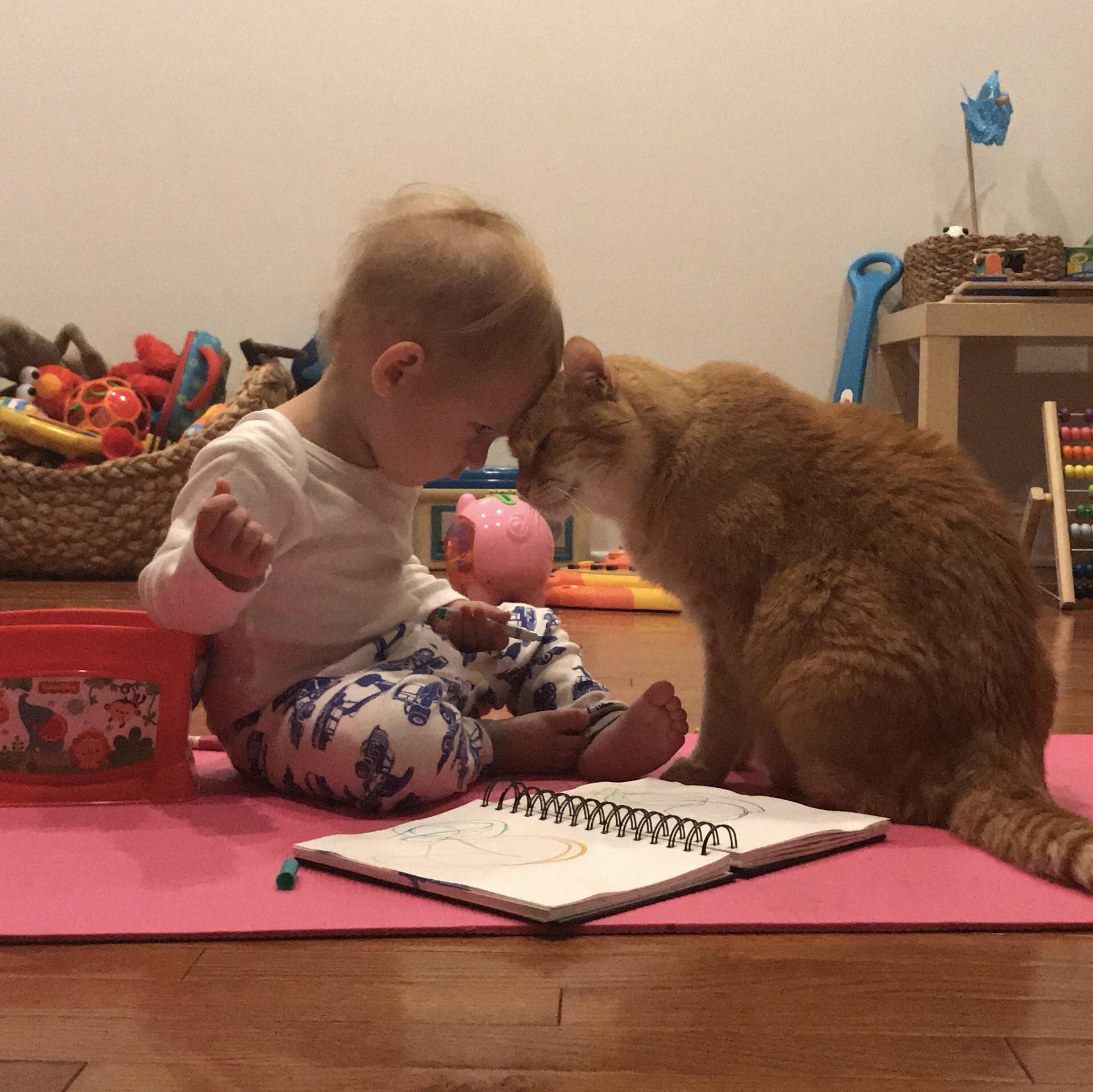 a toddler with their forehead pressed against a cat's forehead