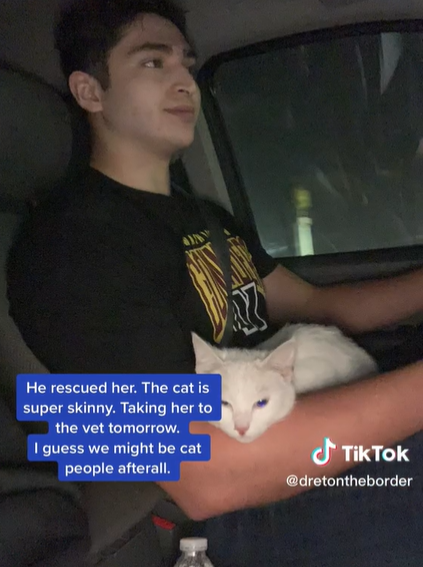 David holding a white cat in his lap as he drives a car, with a text box that says "He rescued her. The cat is super skinny. Taking her to the vet tomorrow. I guess we might be cat people after all."
